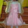 DSC04734